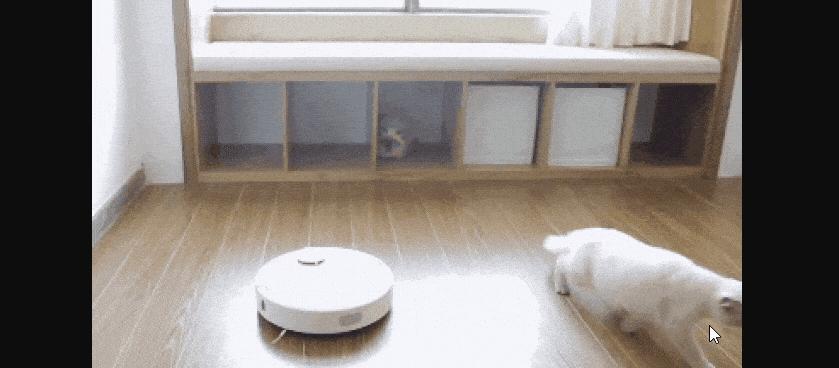 5 lưu ý để sử dụng robot hút bụi Xiaomi đúng cách, hiệu quả 5 5 lưu ý để sử dụng robot hút bụi Xiaomi đúng cách, hiệu quả 4